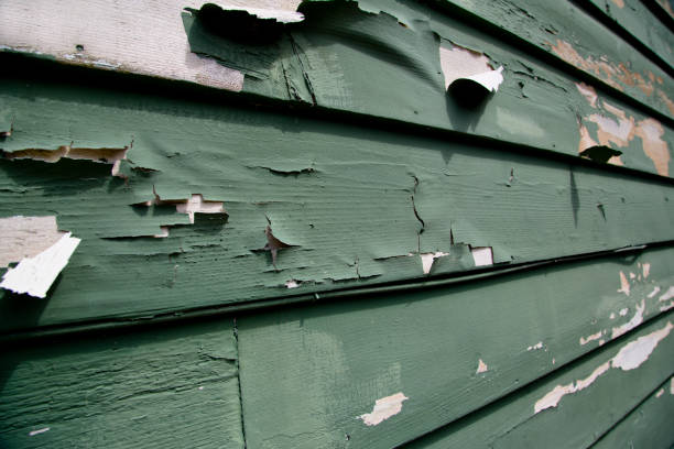 Best Construction Debris Removal  in Florence, KY
